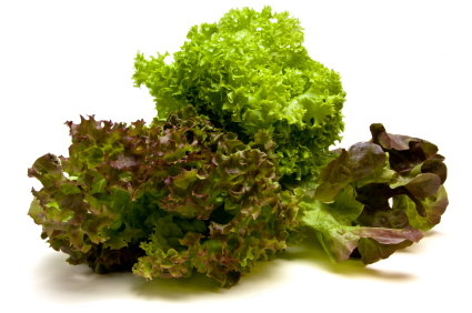 Gastroangebot KW19-20 Mixsalat