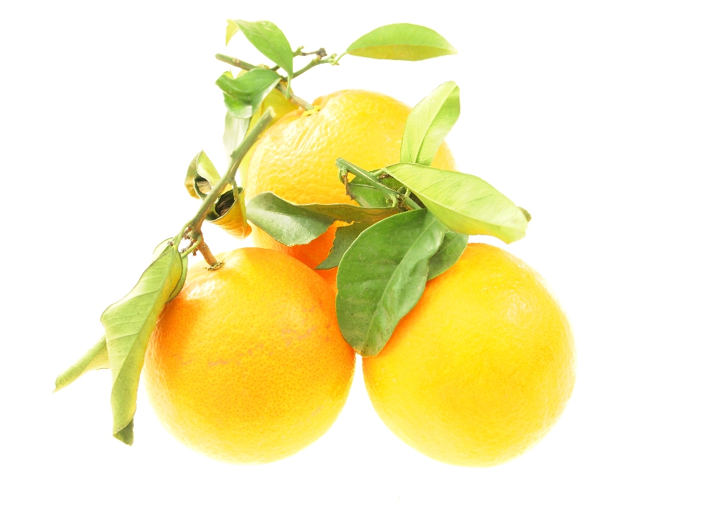 Wochenangebot KW4-5 Feldorangen