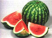 Wochenangebot KW29-30 Wassermelonen