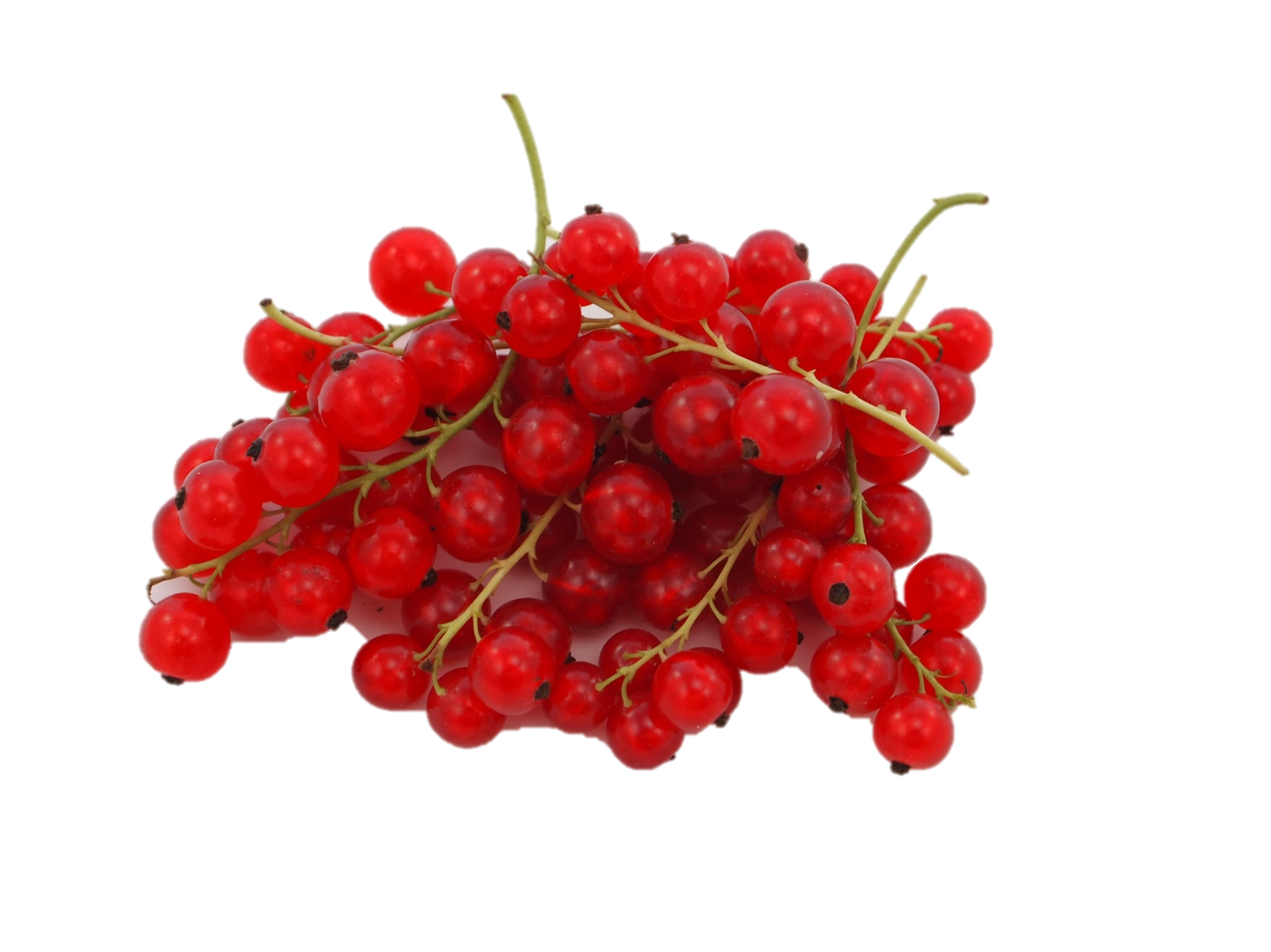 Neu im Sortiment KW27-28 Johannisbeeren rot gepackt