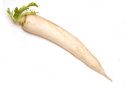 Gastroangebot KW8-9 Rettich weiß