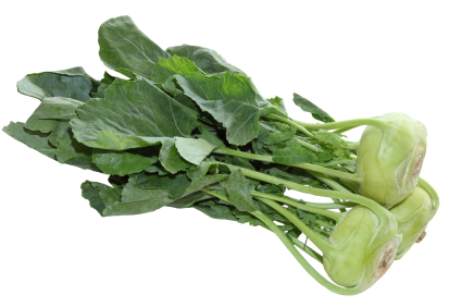 Wochenangebot KW25-26 Kohlrabi