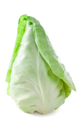 Wochenangebot KW41-42 Spitzkohl