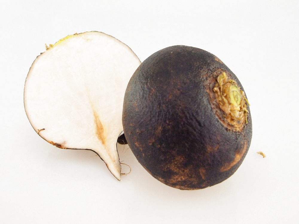 Wurzelangebot KW2-3 Rettich schwarz