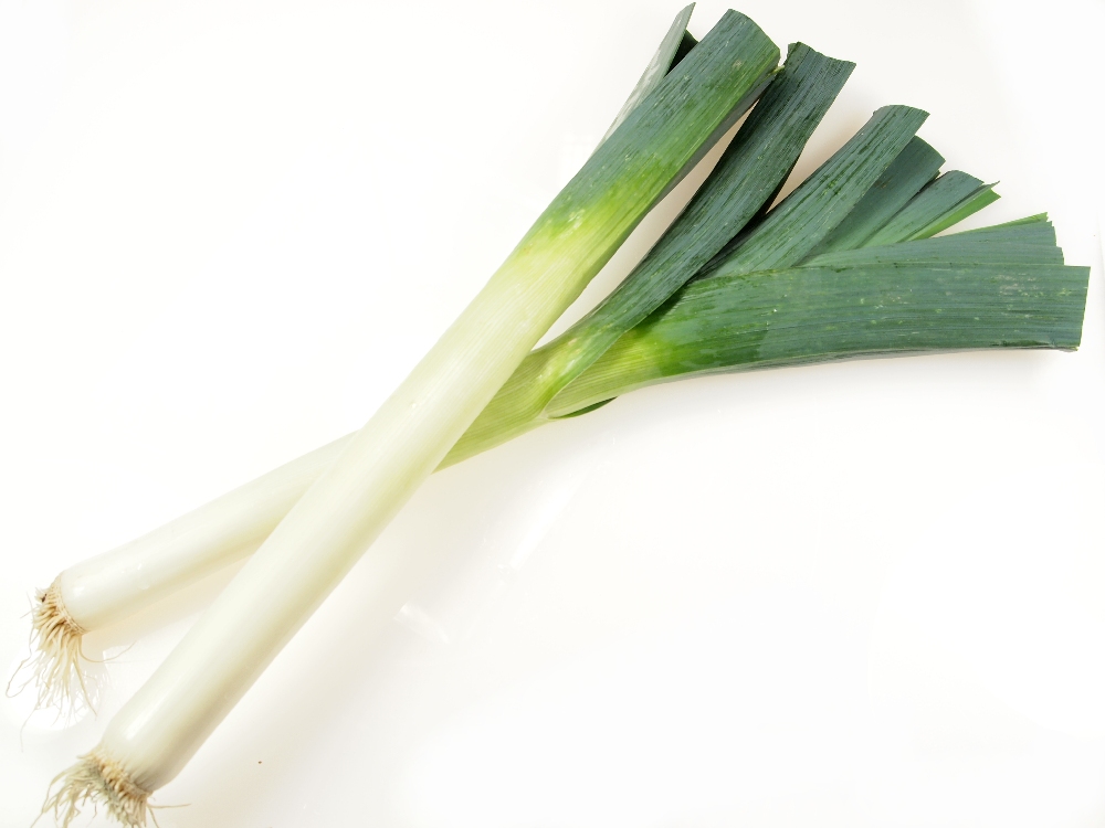 Gastroangebot KW8-9 Porree