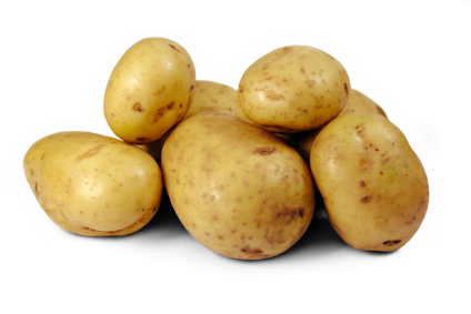 Neu im Sortiment KW22 Kartoffeln festkochend Annabelle