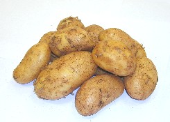 Gastroangebot KW29-30 Annabell Kartoffel