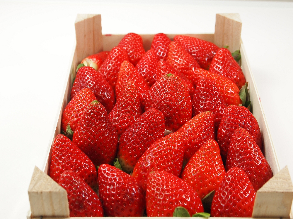 Wochenangebot KW18+19 Erdbeeren gelegt
