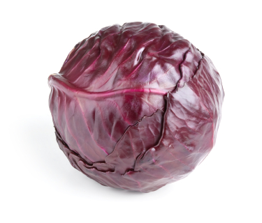 Gastroangebot KW39-40 Rotkohl