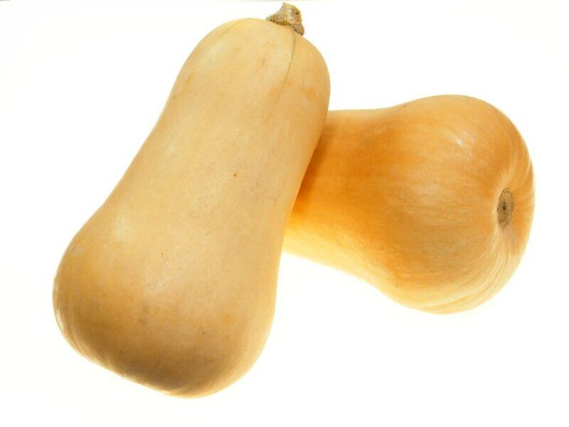 Kürbis Butternut