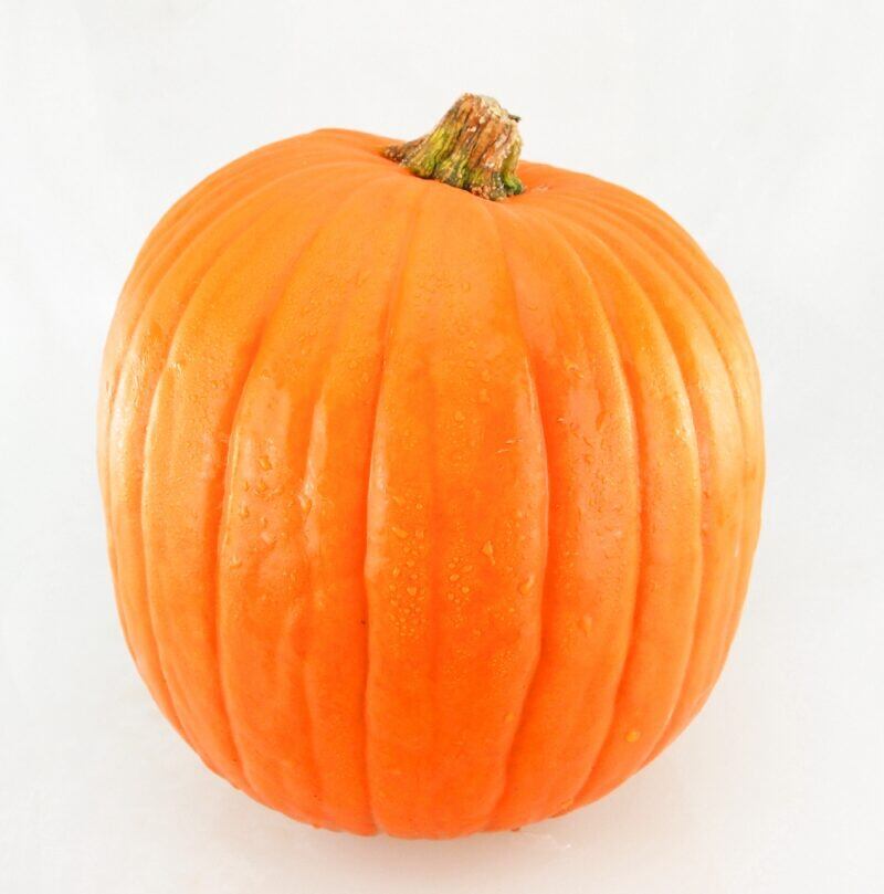 Kürbis Halloween