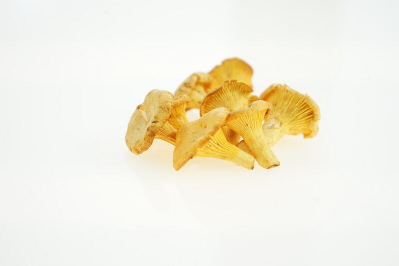 Pfifferlinge extra fein